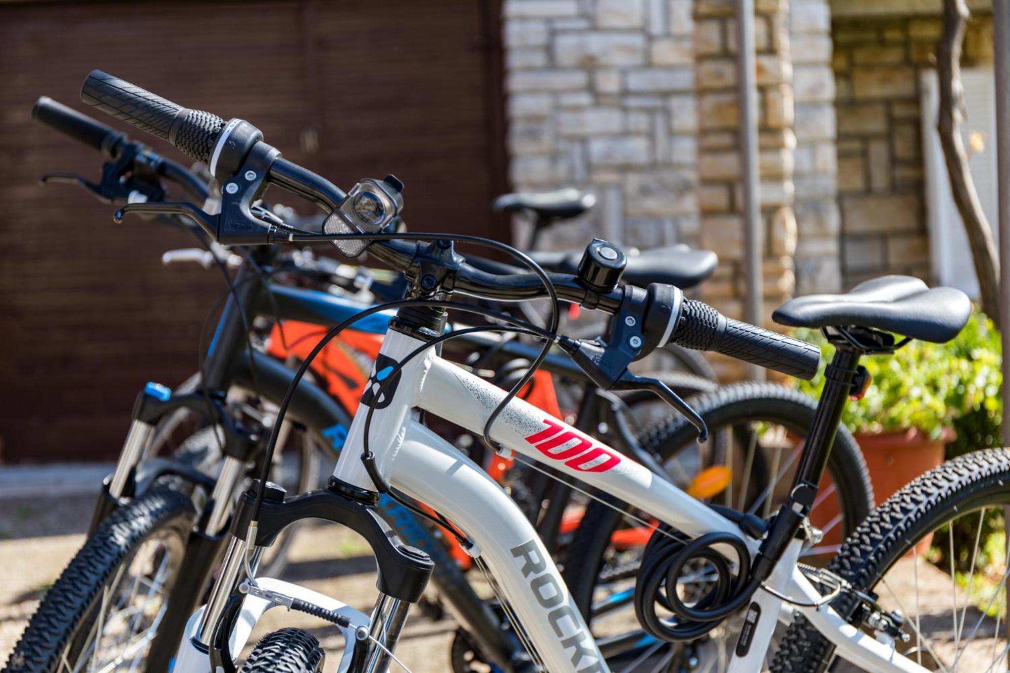 Apartment Tesic Close To The Sea With Shared 4Xbicycles Fazana Exterior photo